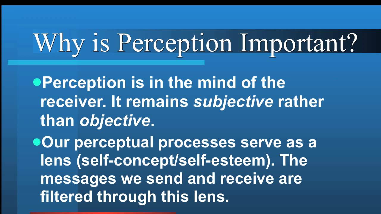 2 Self- Awareness and Communication: Perception Checking Communication