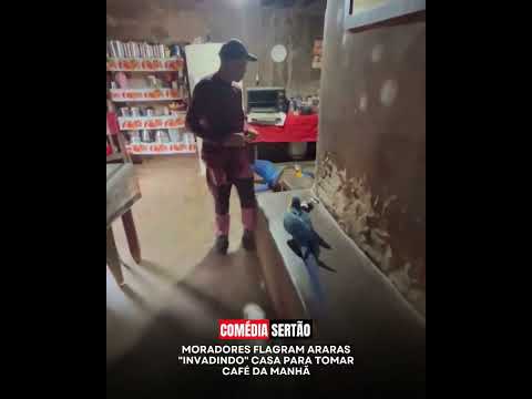 Renato Teixeira, na casa do seu Ramiro, em Guarani de Goiás no Parque Estadual Terra Ronca, grava um