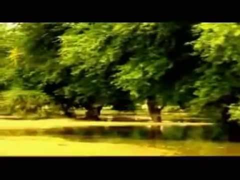 Melaku Chachessa - Tolee (Oromo Music)