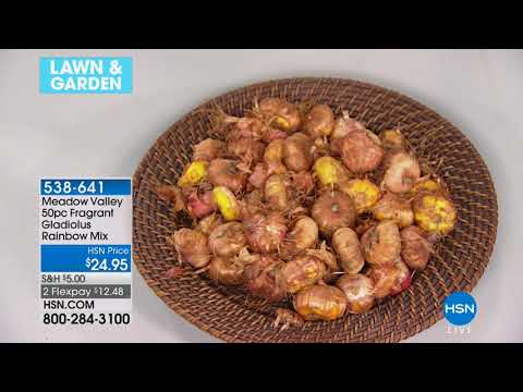 HSN | Lawn & Garden 03.10.2018 - 07 AM