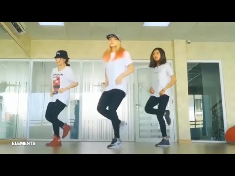 Best Music Mix 2017 - Shuffle Dance Music Video HD