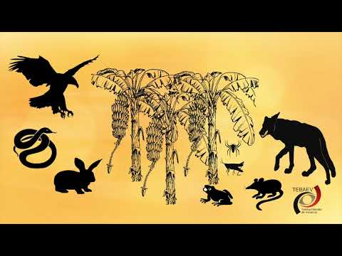 Biodiversidad y su importancia