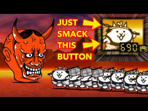 DON’T THINK!!! SPAM COURIER CAT!!!!!!