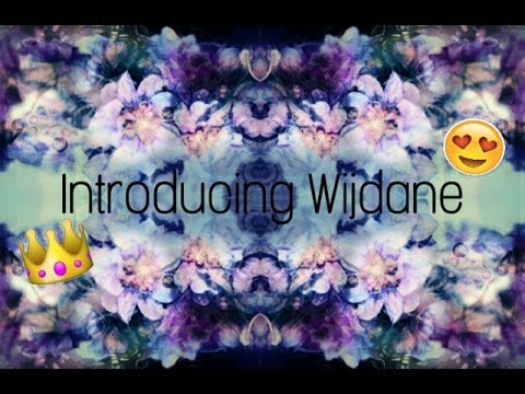 Hi My Name Is Wijdane, And This Is LitProductions (LP)