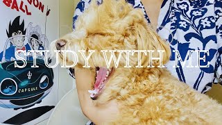 【STUDY WITH ME】犬とゆっくり勉強ライブ🎥｜資格勉強📚✨｜