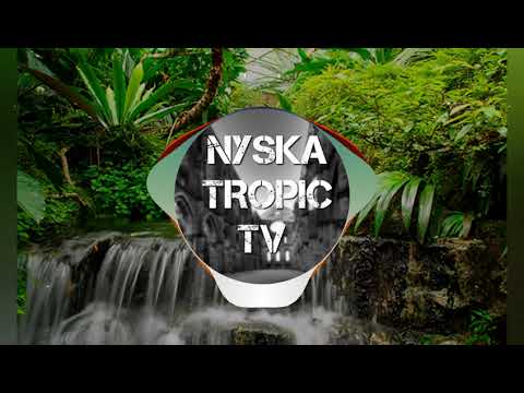 _*DJ FLORENT-MERCENAIRE_NARNIER PANN SANZ (RAGGA 2K19)