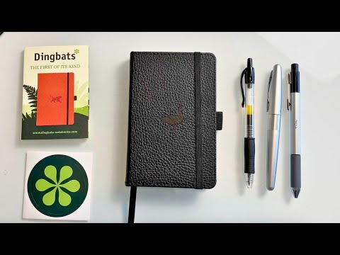 Dingbats Pocket Notebook Review: Worth the Hype?