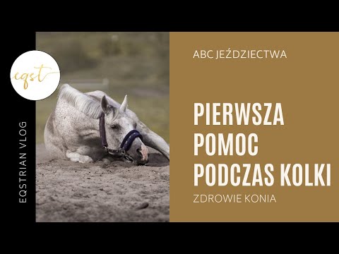 , title : 'PIERWSZA POMOC podczas KOLKI | Zdrowie konia'