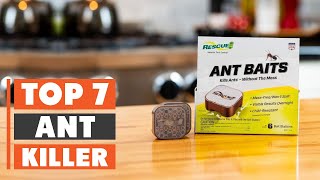 7 Best Ant Killers for a Pest-Free Home in 2025
