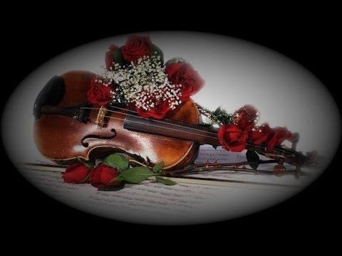 A FÖLDET AZ ÖKÖR NEM MAGÁNAK SZÁNTJA