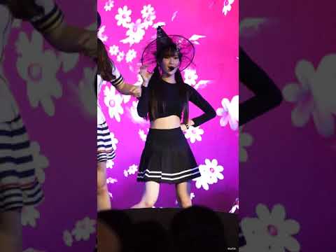 Nadear CmCafe (Melonpan) - ทาสแมว [Fancam]