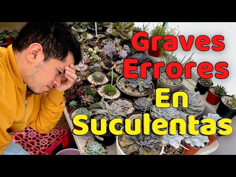 , title : 'GRAVES ERRORES QUE MATAN A TUS SUCULENTAS  || TU JARDINERO EL CITADINO'