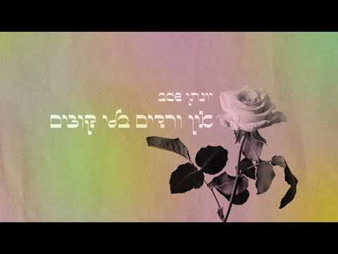 Video thumbnail for Brighton - ברייטון