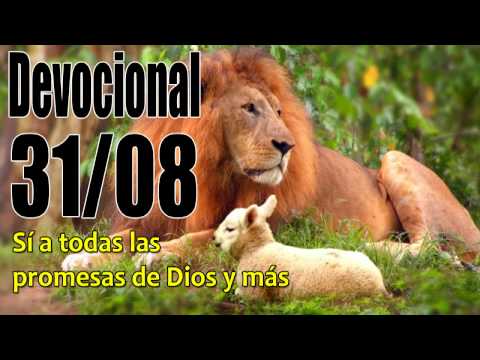 El León y el Cordero Devocional John Piper solid joys 31/08