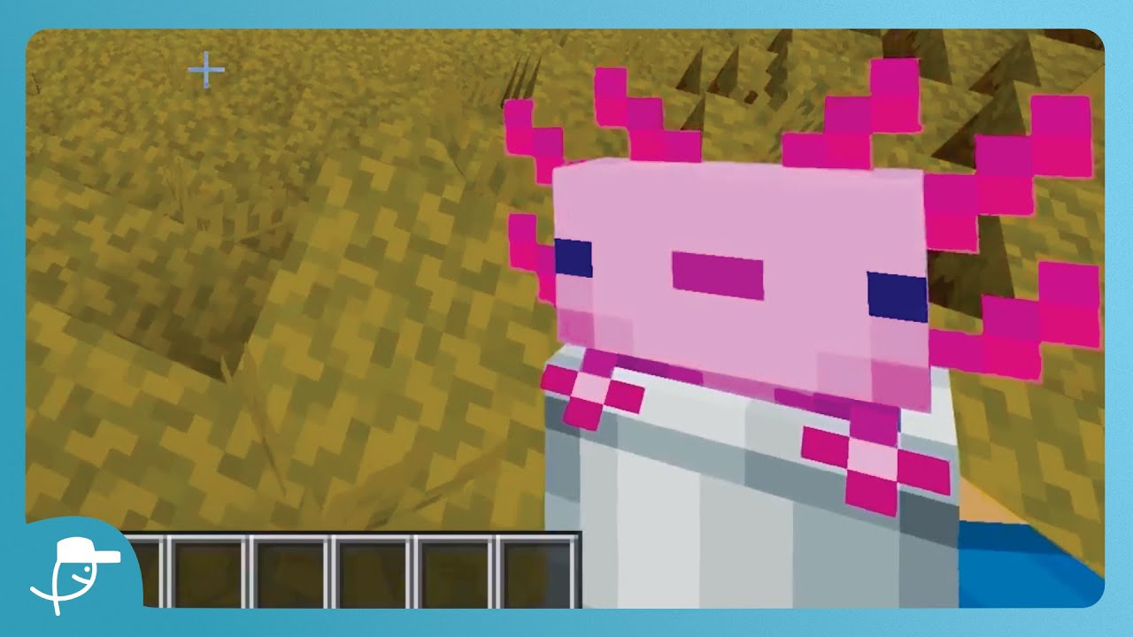 Animated Animated Axolotl In Bucket! Animated Animated Axolotl In Bucket!