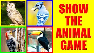 Show me the BIRD Game for Kids - Where is the bird?