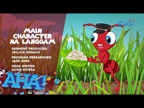 AHA! Storytime – Main Character na Langgam AHA!