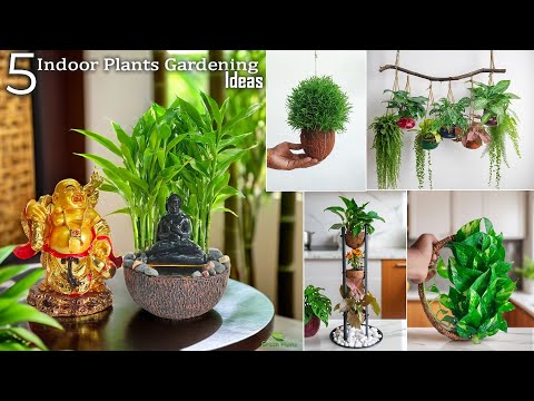 5 Indoor Garden Ideas for Bringing Greenery into Your Home | Indoor Plants Gardening//GREEN PLANTS