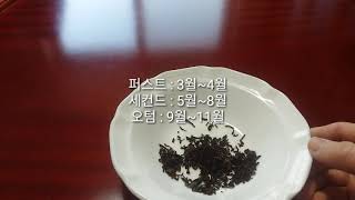 홍차리뷰 - 다즐링 아리야 세컨드 플러시 (Darjeeling Ariya second flush)