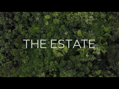 KONDOMINIUM ESTET video