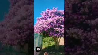 Beautiful places in Vietnam