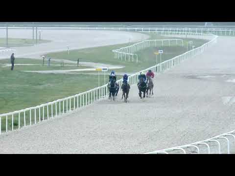 2019.05.05. 07. futam - PAPP SÁNDOR EMLÉKVERSENY HENDIKEP (II.o.) (szintetikus pálya)