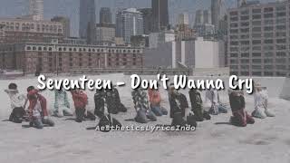 Download lagu Seventeen - Don't Wanna Cry '울고 싶지 않아' (Indo lirik) mp3