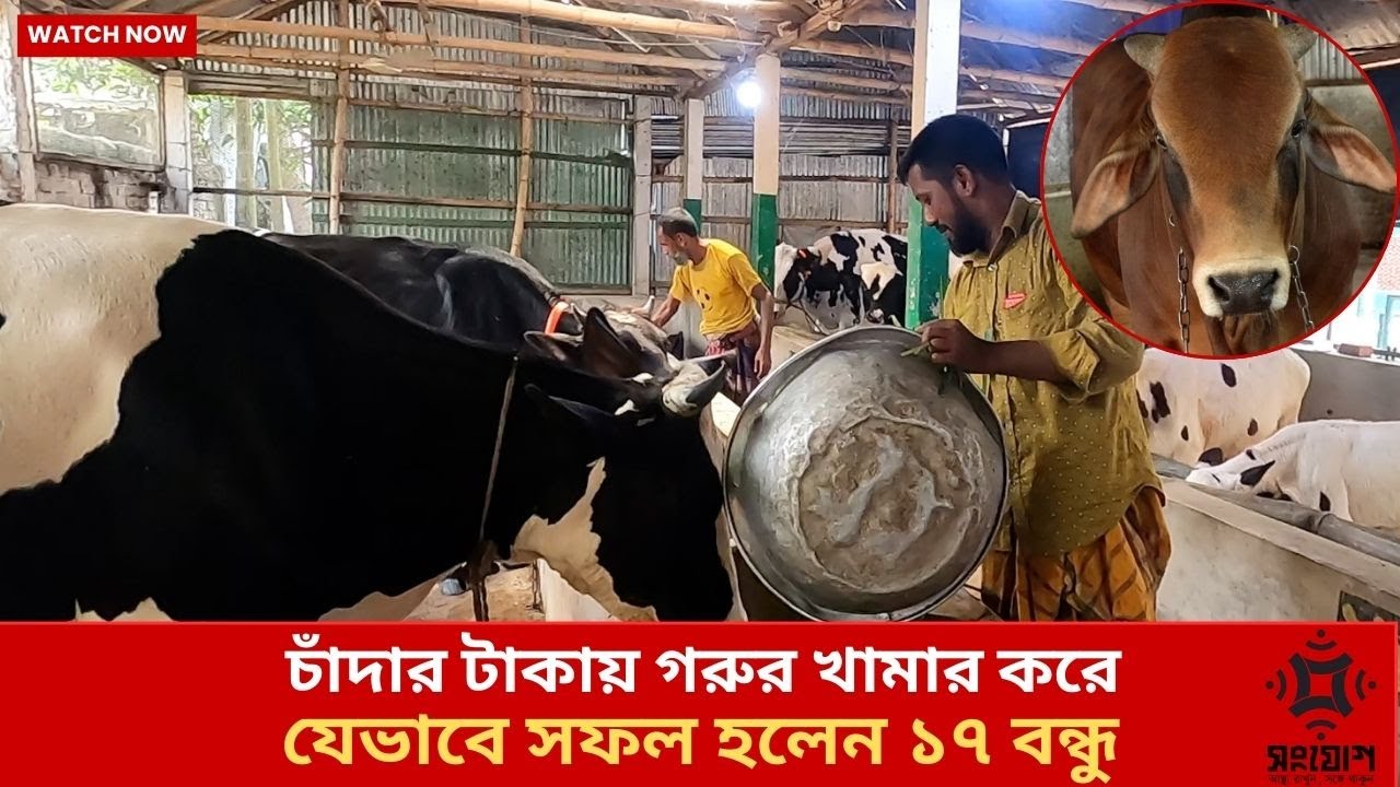 চমক দেখালো ওরা ১৭ জন