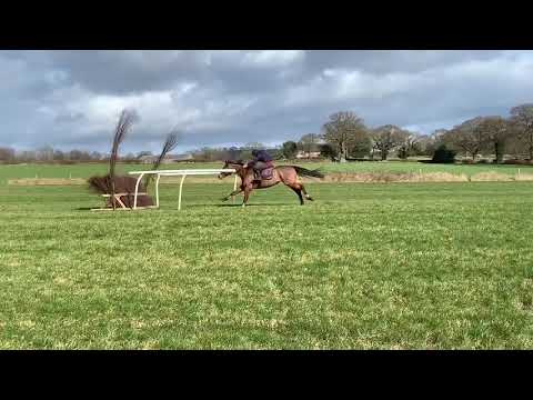 Schooling 11/02/2020