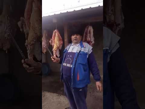 GHINDĂ GHIȚĂ MĂCELARU DIN BEREZENI