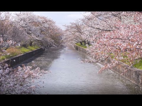 ACTIVE TOWN TSUCHIURA 総集編