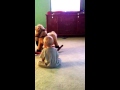 Logan Dancing To Elmo S Got The Moves July 2012