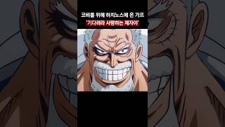 드디어 하치노스에 등장한 가프
