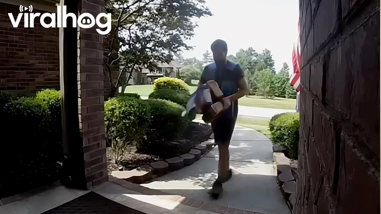 Packages Handled With Care(lessness) || ViralHog
