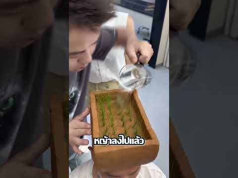 บ่อปลาบนหัวโล้นมีอยู่จริง 😂