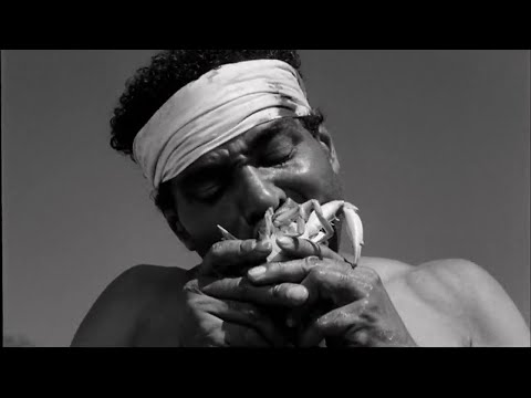 The Young One (1960) - Luis Buñuel - Zachary Scott - Bernie Hamilton - Key Meersman - Claudio Brook