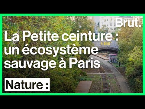 Petite Ceinture of Paris - exploration
