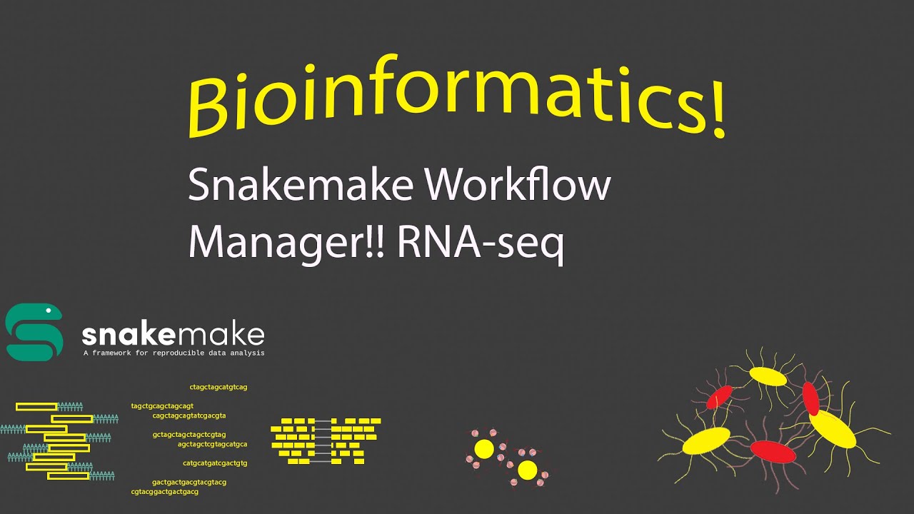 Bioinformatics - Snakemake Workflow Management! (Timestamps)
