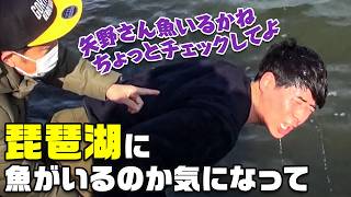 動画のサムネイル