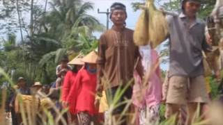 Download lagu Ritual di Kampung Badud Desa Margacinta mp3 Download lagu Ritual di Kampung Badud Desa Margacinta mp3