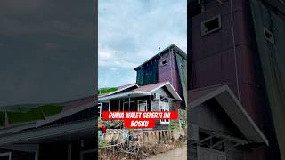 Download lagu Dunia walet seperti ini #shots #burung #walet #rumahwalet #live mp3