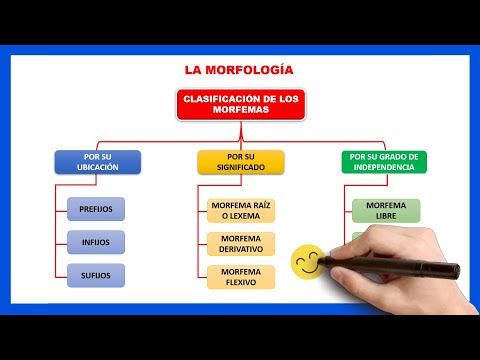 ​📘​Qué es la MORFOLOGÍA  | Qué es un morfema y sus clases| Qué es un prefijo, infijo y sufijo?