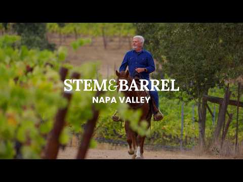 Stem & Barrel: Napa Valley