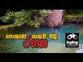 balumgala-26-01-2017
