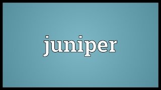Juniper Meaning
