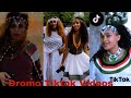 Sirba Afaan Oromoo Haaraa 2023 Oromo Music Oromotiktok