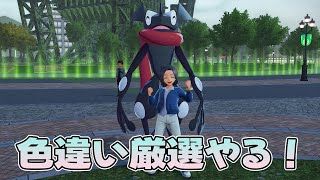 【ポケモン】色違い厳選！ランクマもやるかも？ #7【レジェンズZ-A】