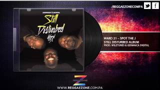 Ward 21 - Spot The J