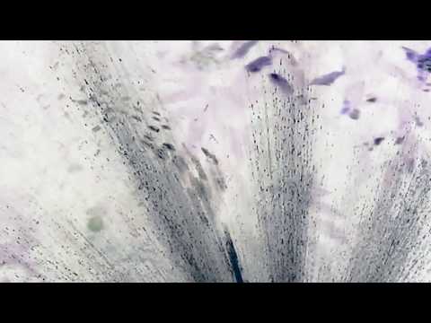 Illuminine - Dear, Dolores (Julien Marchal Rework)