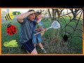 Bugs For Kids Bugs And Crawly Things For Children Finding Insects